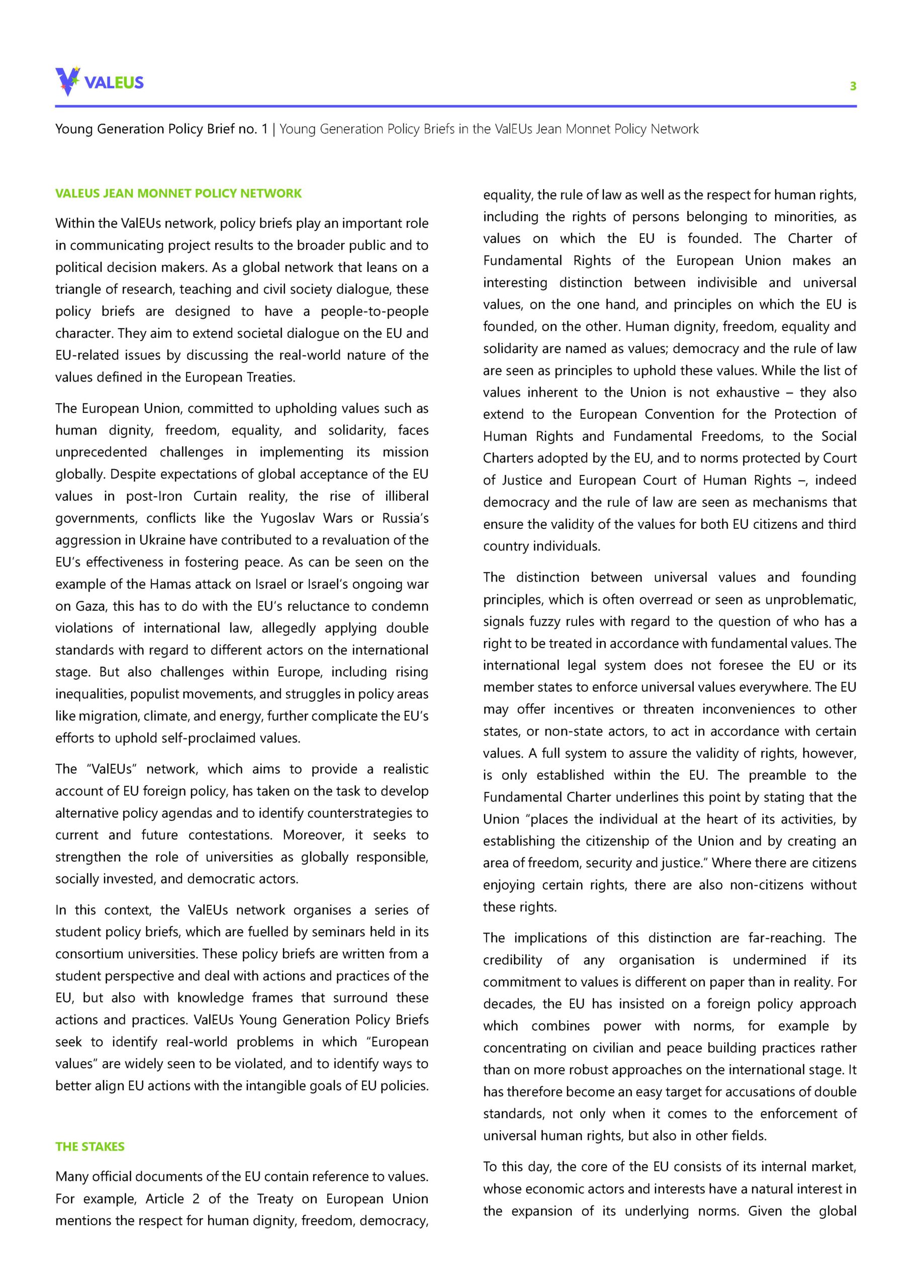 3_WP_ValEUs young generation policy brief_no. 01_Beichelt_31-03-2025Teil3