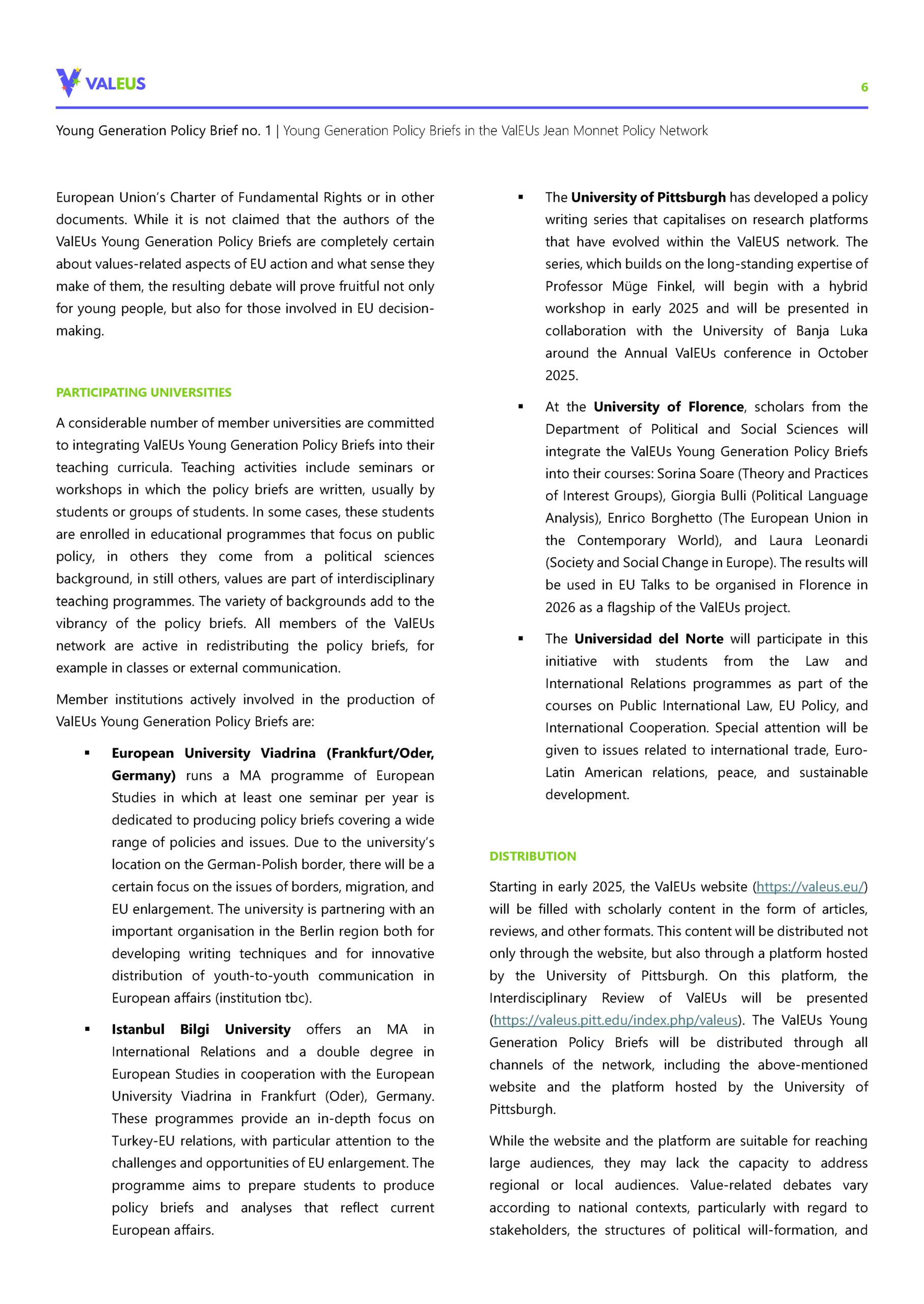 6_WP_ValEUs young generation policy brief_no. 01_Beichelt_31-03-2025Teil6